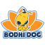 Bodhi Dog