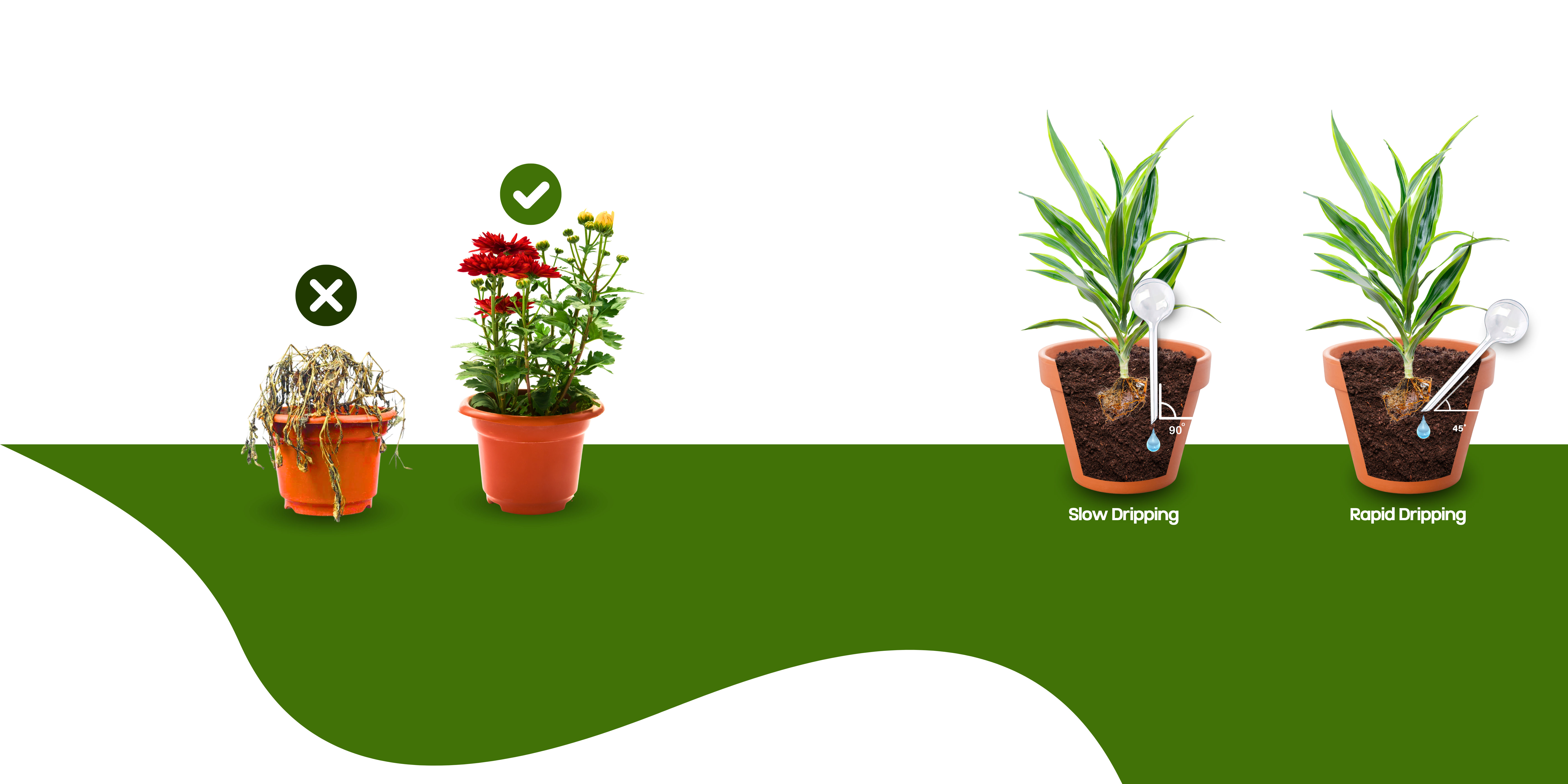 How to Water Plants Deeply: Expert Tips for Thriving Gardens