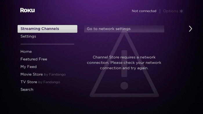 Roku channel store not loading due to network issue