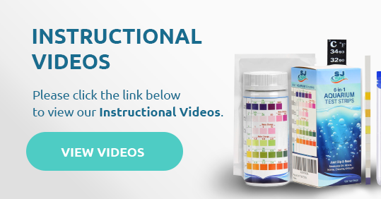 Instructional Videos