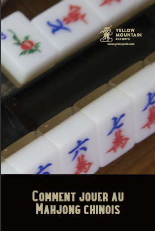 Manuel de Mahjong Chinois PDF